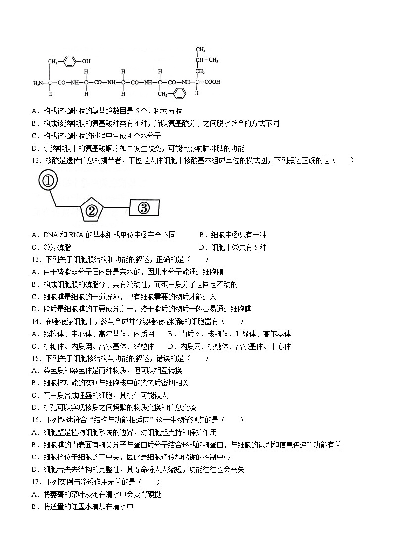 安徽省芜湖市2023-2024学年高一上学期1月期末生物试题（含答案）第3页