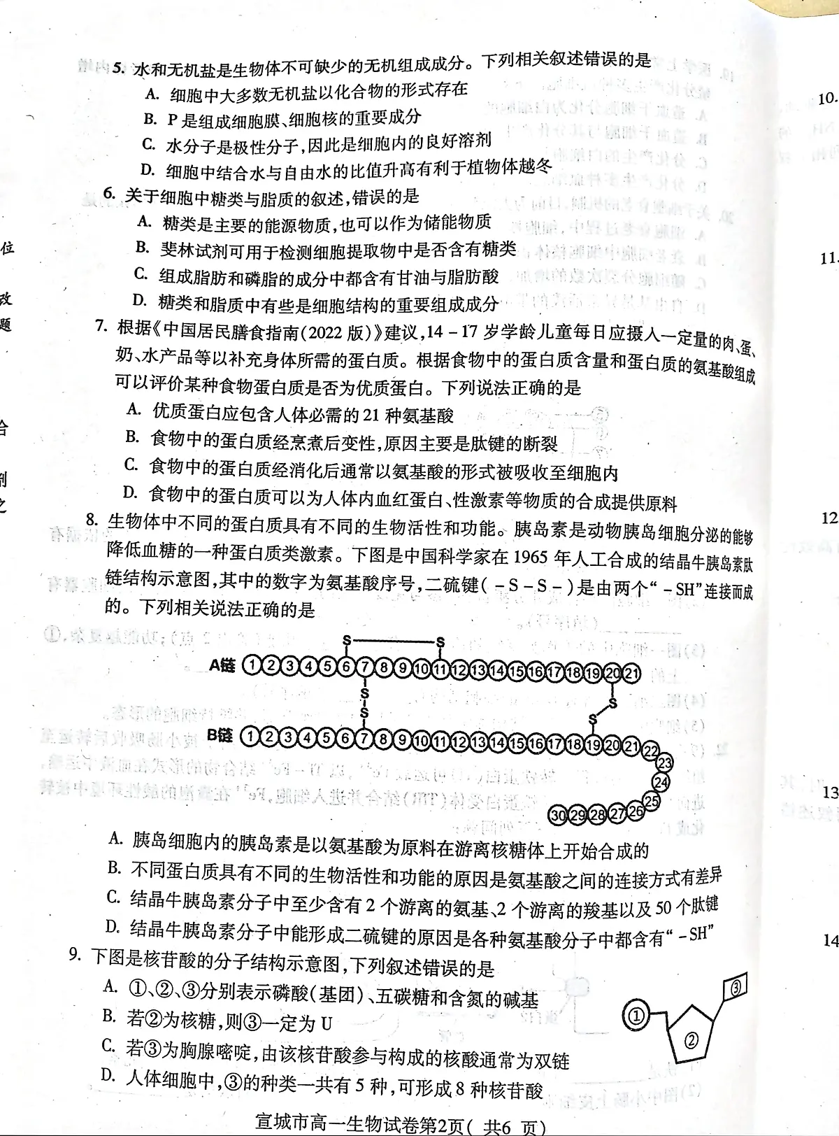安徽省宣城市2023-2024第一学期高一期末考试生物试卷（含答案）第2页
