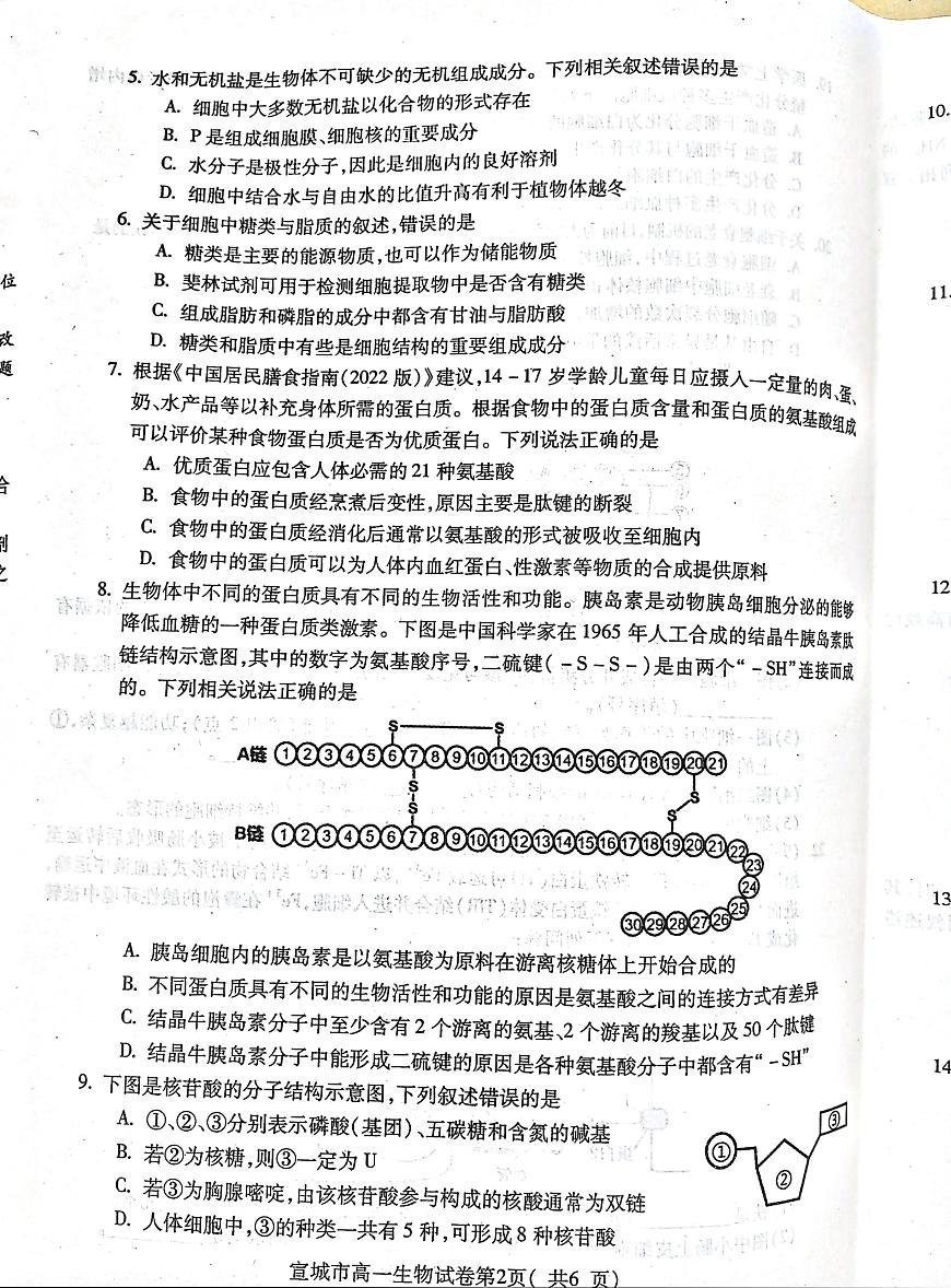 安徽省宣城市2023-2024第一学期高一期末考试生物试卷（含答案）第2页