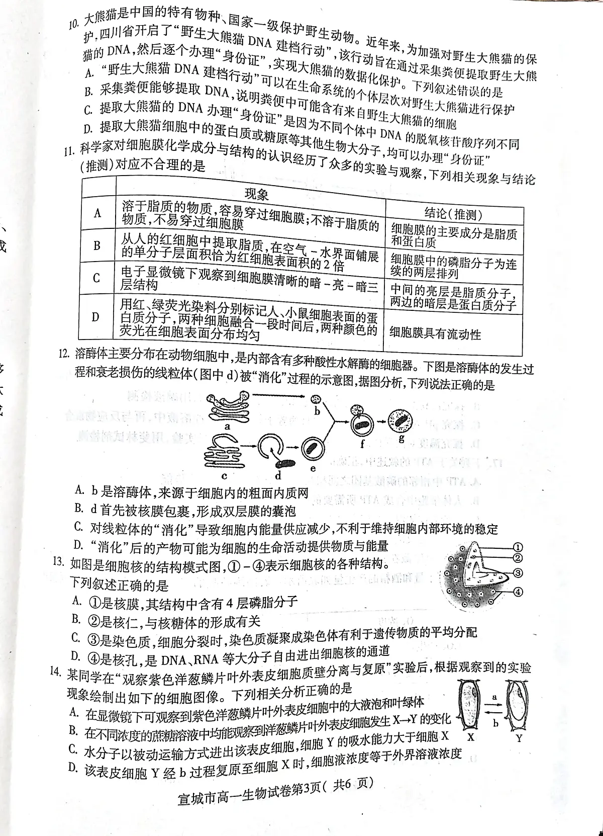 安徽省宣城市2023-2024第一学期高一期末考试生物试卷（含答案）第3页
