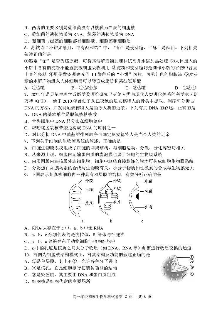 甘肃省兰州第一中学2023-2024学年高一上学期1月期末生物试卷（含答案）第2页