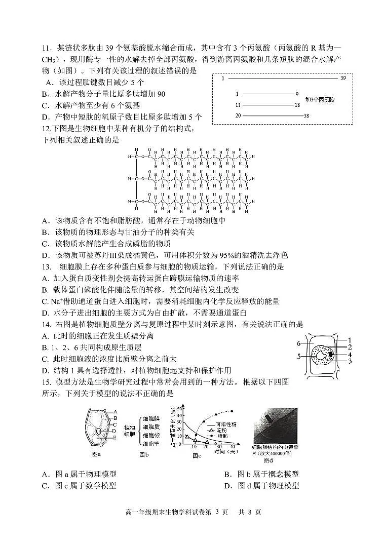甘肃省兰州第一中学2023-2024学年高一上学期1月期末生物试卷（含答案）第3页