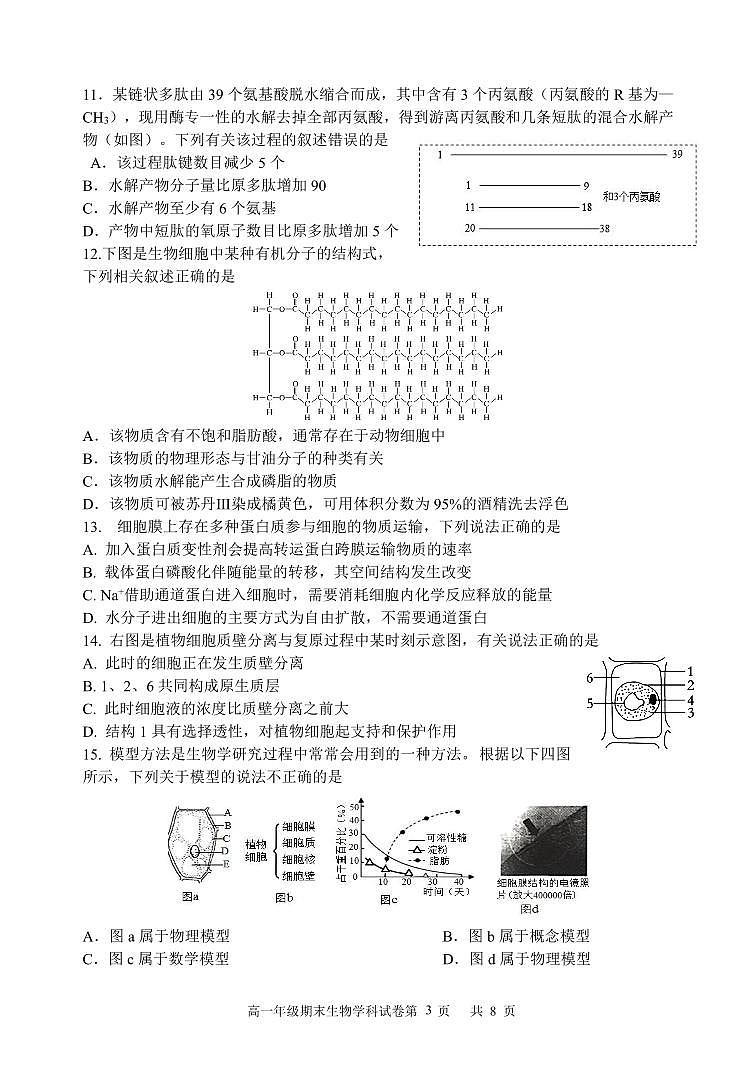 甘肃省兰州第一中学2023-2024学年高一上学期1月期末生物试卷（含答案）第3页