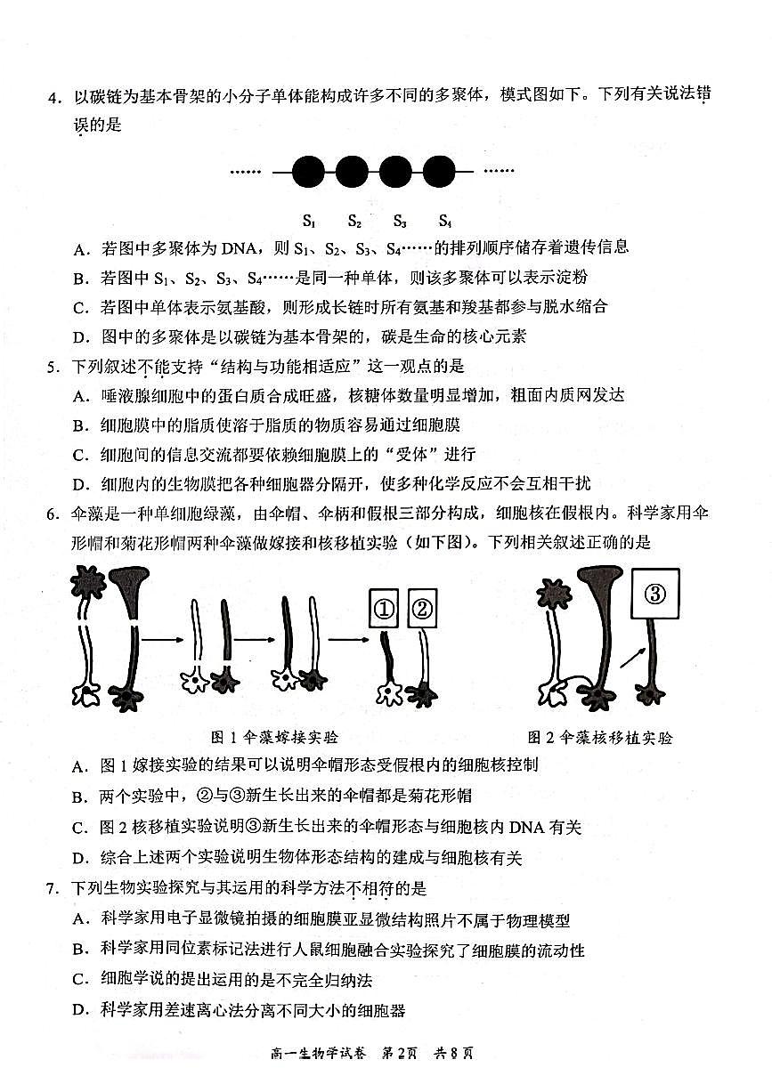 广东省梅州市2023-2024学年高一上学期期末质量检测生物试卷（含答案）第2页