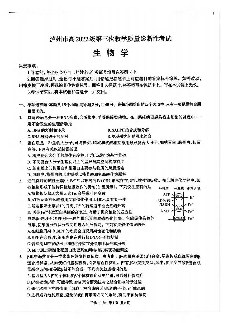 生物丨四川省泸州市2025届高三下学期4月第三次诊断考生物试卷及答案第1页