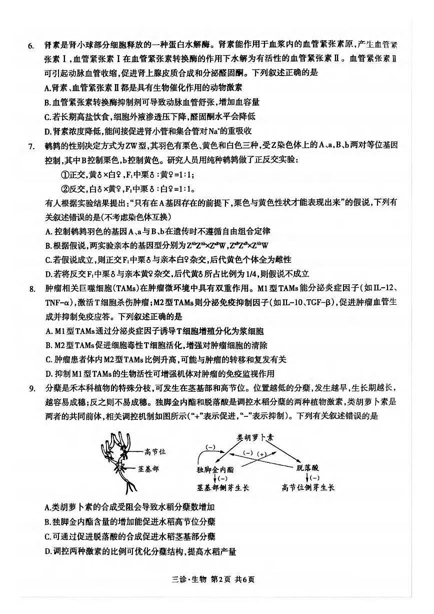 生物丨四川省泸州市2025届高三下学期4月第三次诊断考生物试卷及答案第2页
