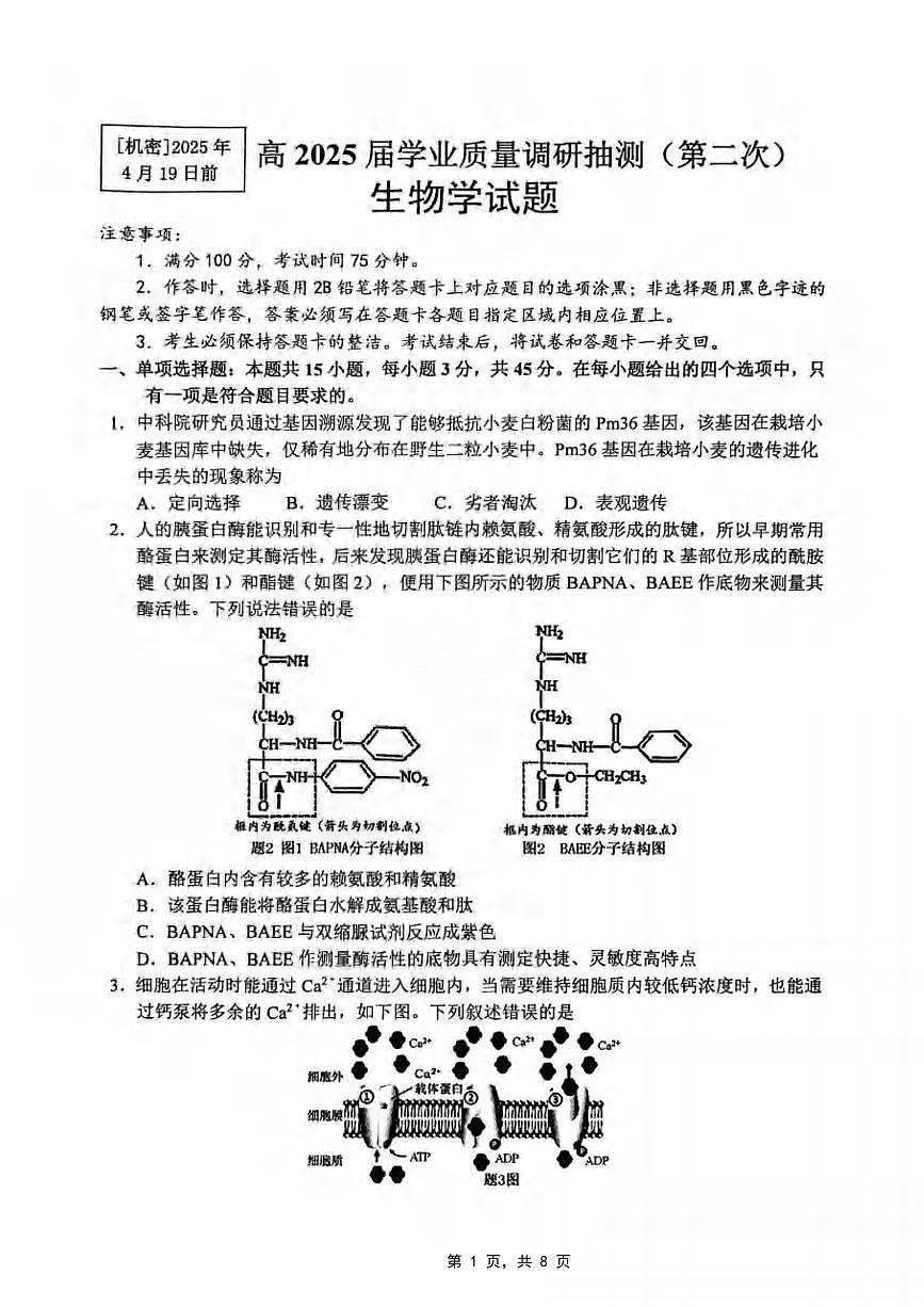 生物丨重庆市主城五区2025届高三下学期4月第二次诊断（重庆二诊）生物试卷及答案第1页