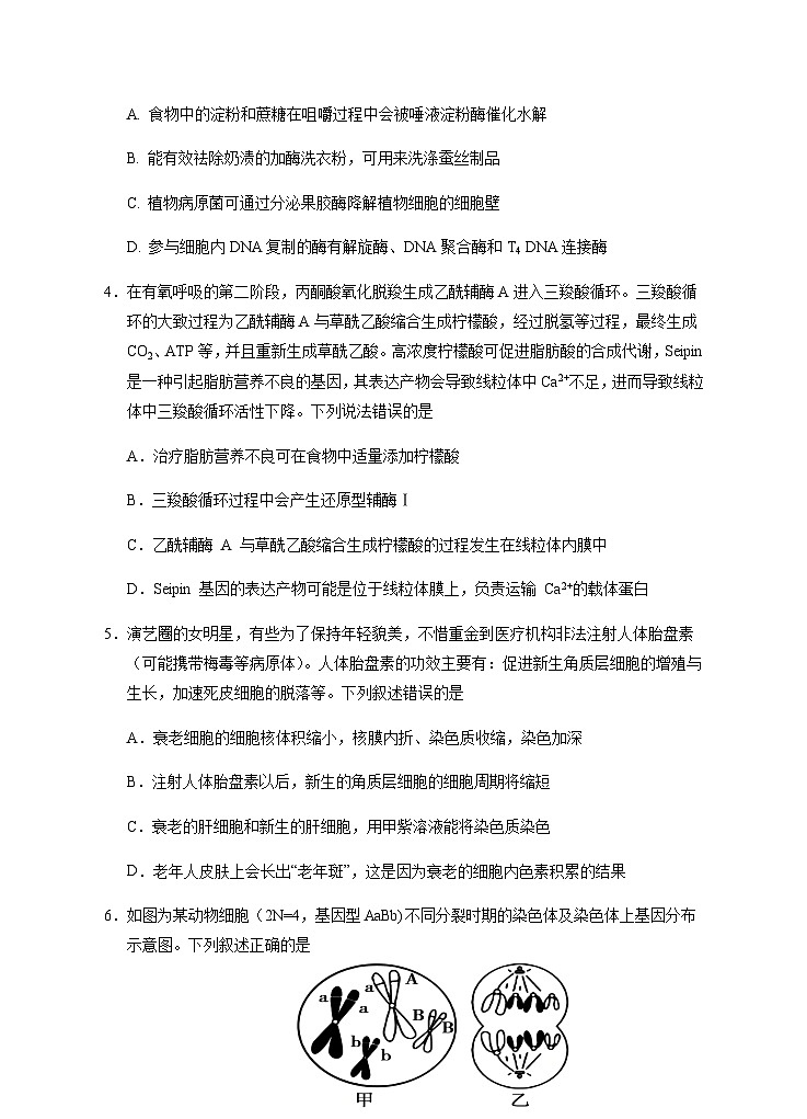 2025届高三第二次模拟生物试卷第2页