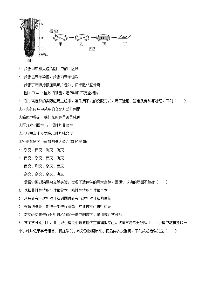 广东省高州市2023_2024学年高一生物下学期期中试题含解析第2页
