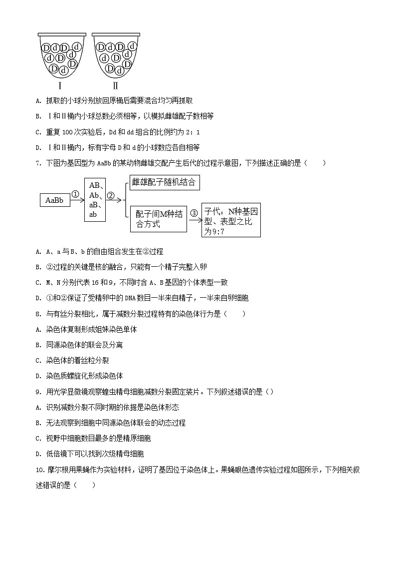 广东省高州市2023_2024学年高一生物下学期期中试题含解析第3页