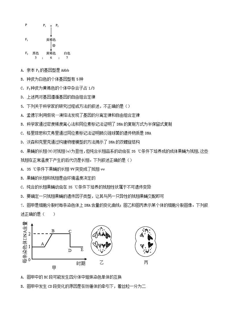 河南省漯河市2023_2024学年高一生物下学期5月月考试题含解析第2页