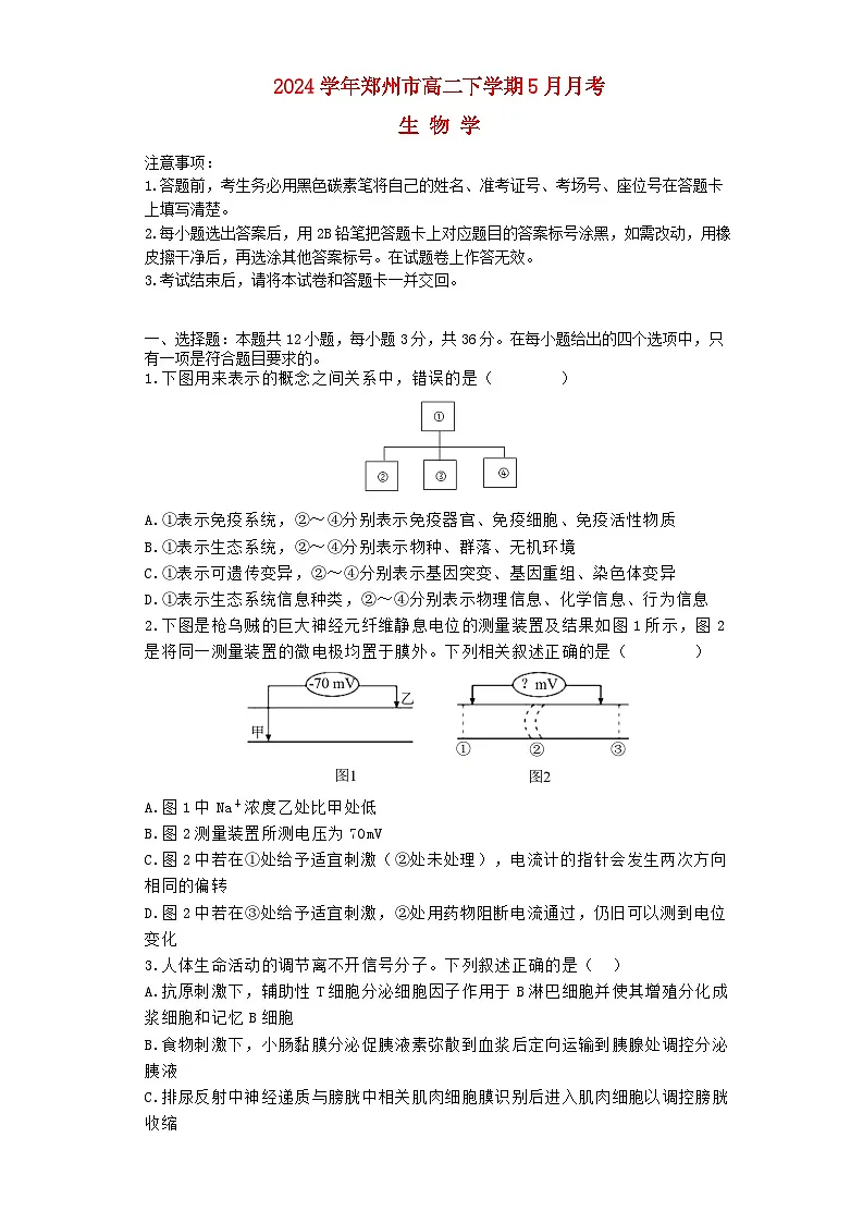 河南省郑州市宇2023_2024学年高二生物下学期5月月考试题含解析第1页