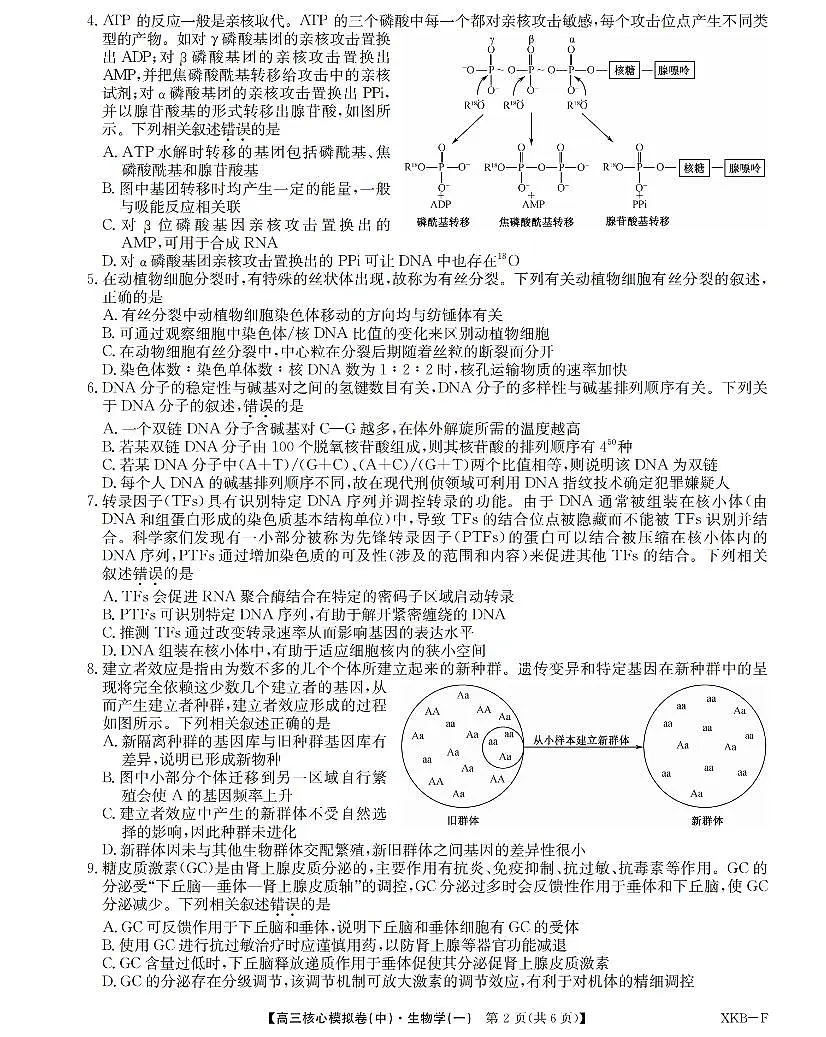 江西省名校九师联盟2023-2024学年高三1月核心模拟卷 生物试卷（含答案）第2页