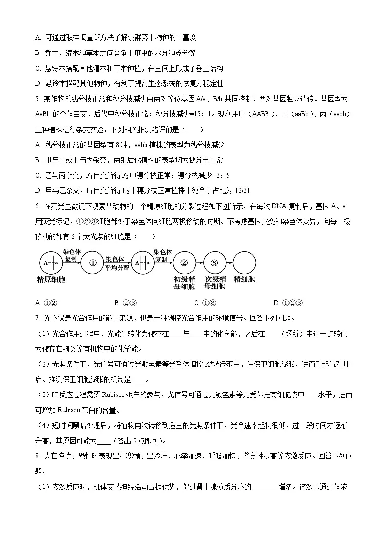 内蒙古包头市2024届高三下学期二模试题 理综生物 Word版含答案第2页