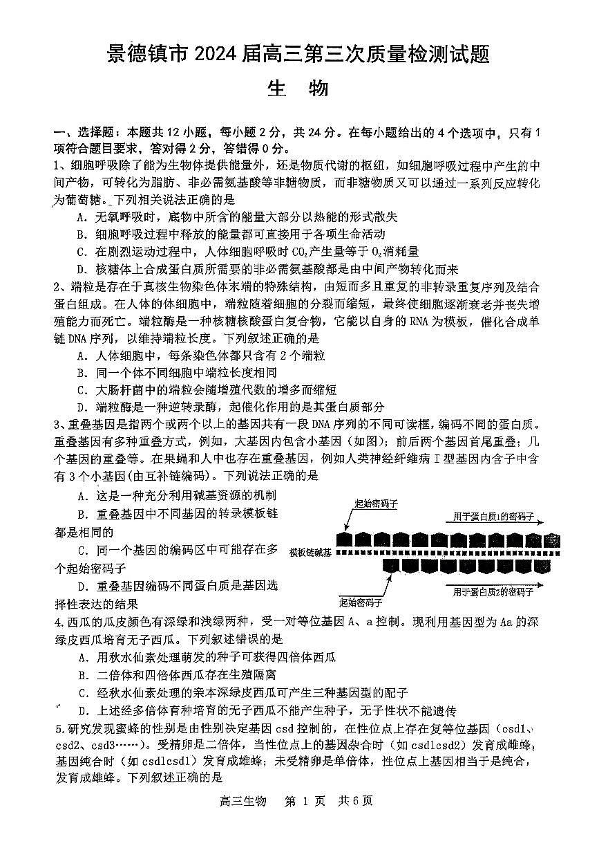2024届江西省景德镇市高三第三次质检-生物试卷（含答案）第1页