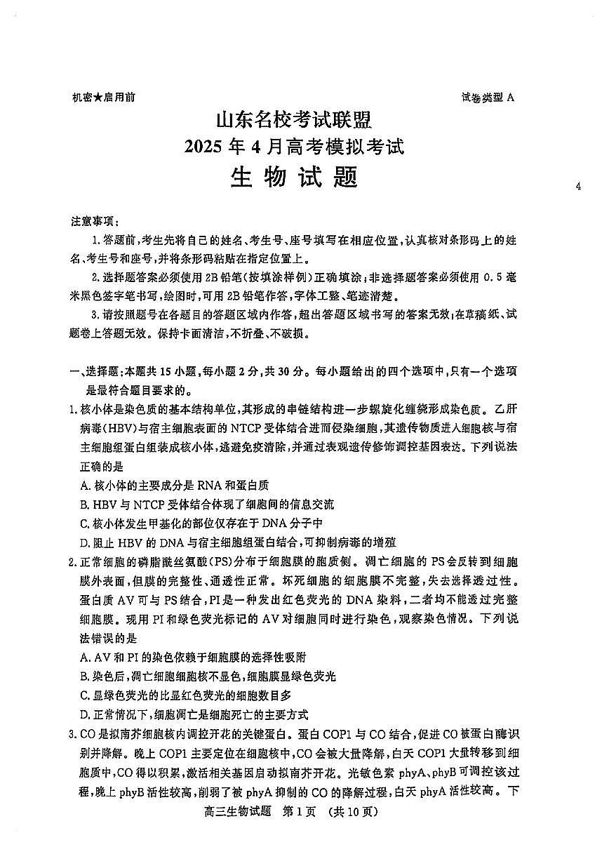 山东名校考试联盟2025届高三高考模拟模拟检测-生物试题+答案第1页