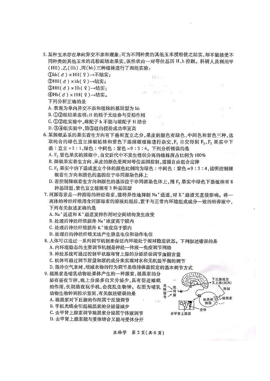 2024届江西联考高三年级二轮复习阶段性测试-生物试卷（含答案）第2页