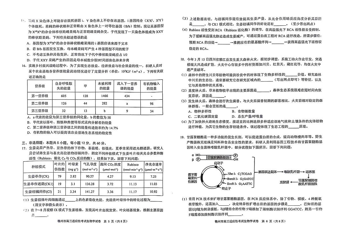2024届江西省赣州市高三5月二模考试-生物试卷（含答案）第3页