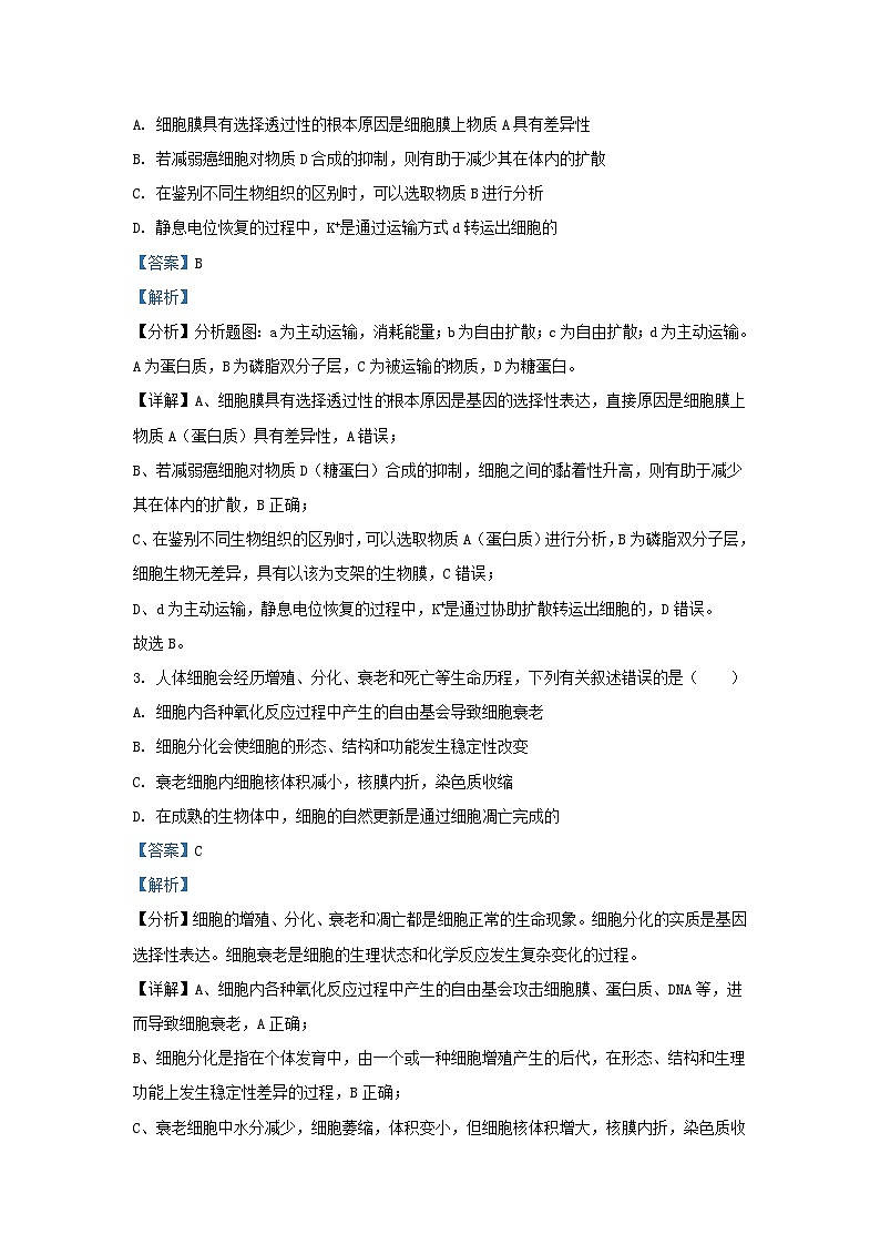 四川省南充市2024届高三生物二模理综试题含解析第2页