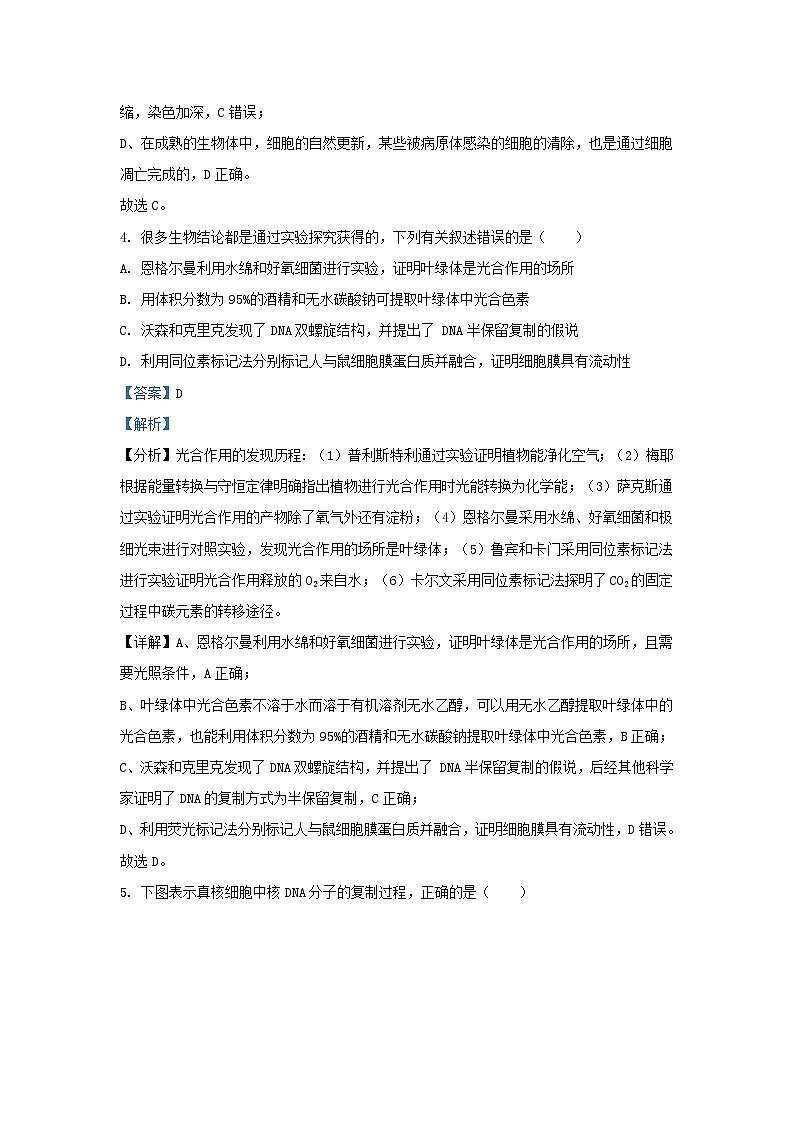 四川省南充市2024届高三生物二模理综试题含解析第3页