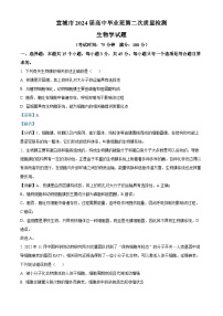 安徽省宣城市、黄山市2024届高三下学期二模生物试题  含解析