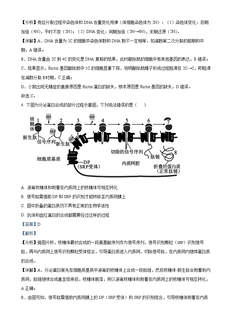 安徽省宣城市、黄山市2024届高三下学期二模生物试题  含解析第3页