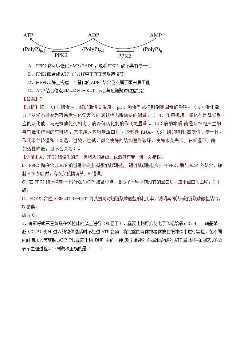 信息必刷卷02（黑吉辽蒙专用）（原卷版）第3页