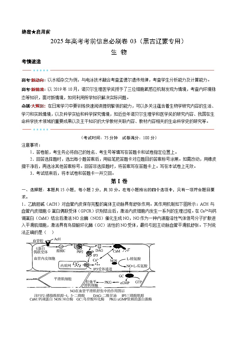 信息必刷卷03（黑吉辽蒙专用）（解析版）第1页