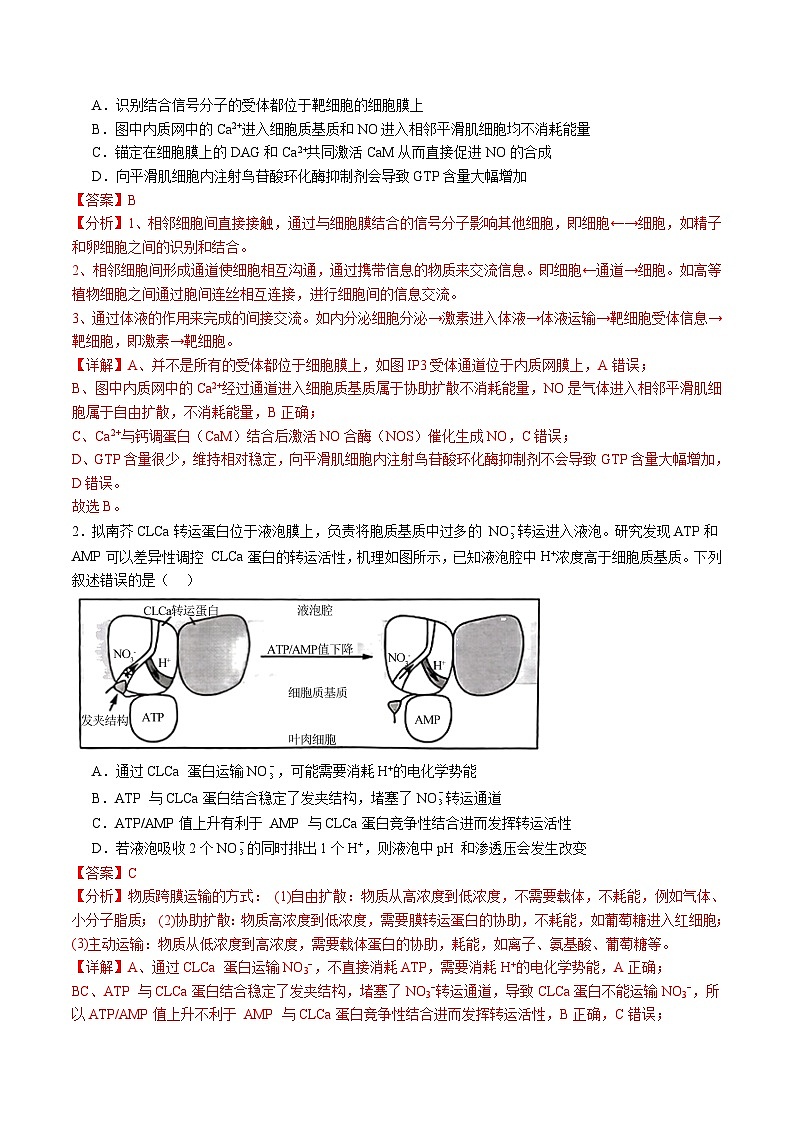 信息必刷卷03（黑吉辽蒙专用）（解析版）第2页
