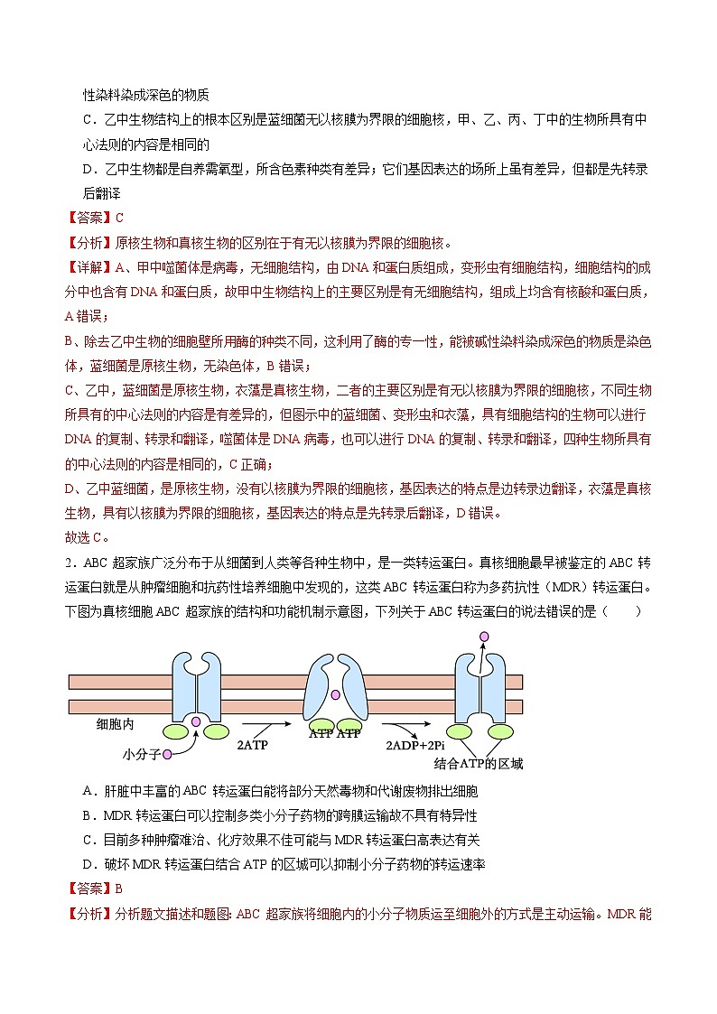 信息必刷卷05（黑吉辽蒙专用）（解析版）第2页