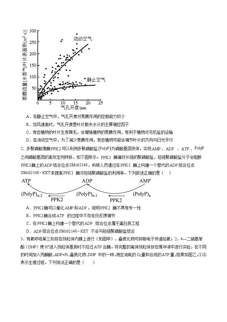 信息必刷卷02（黑吉辽蒙专用）（解析版）第2页