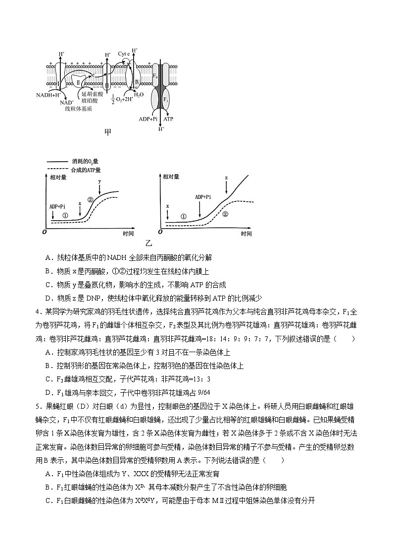 信息必刷卷02（黑吉辽蒙专用）（解析版）第3页
