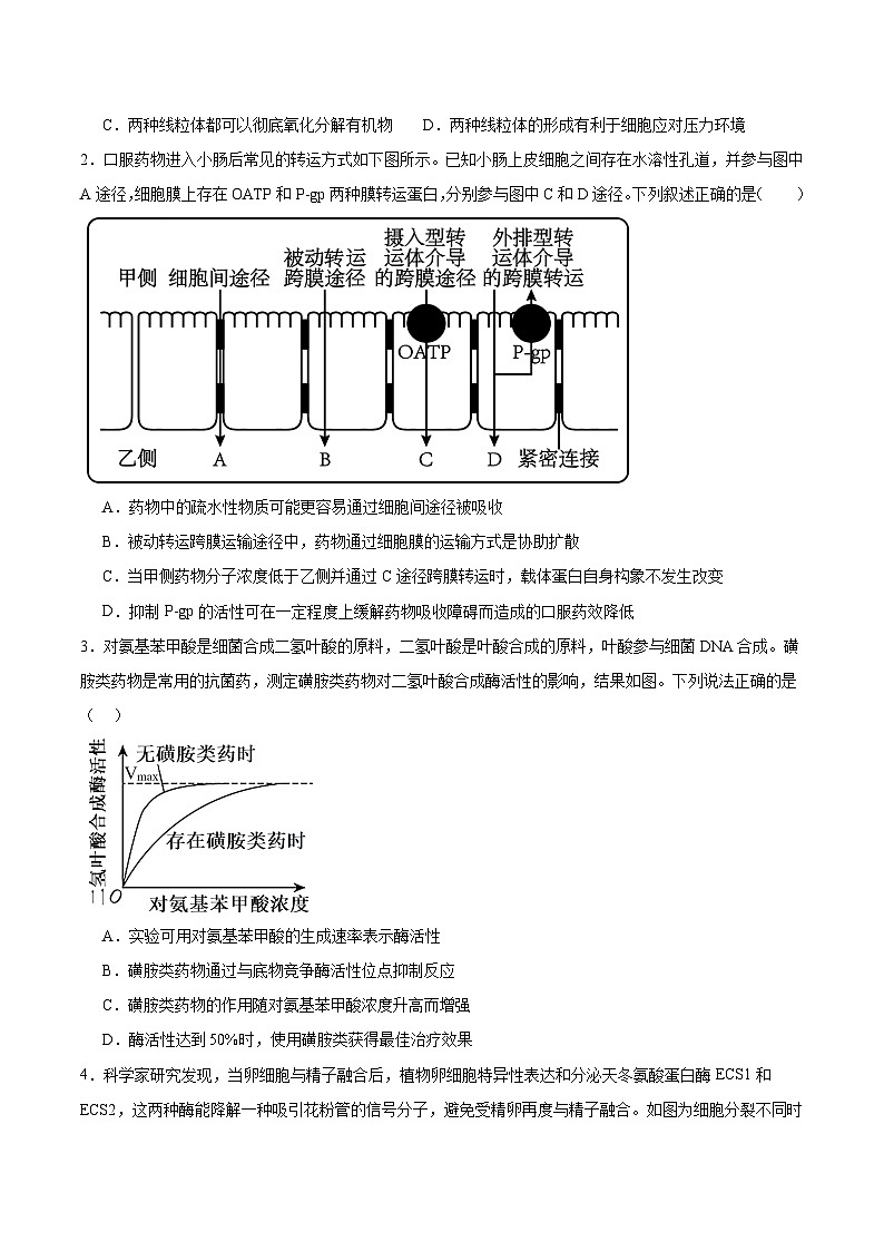 信息必刷卷04（黑吉辽蒙专用）（原卷版）第2页