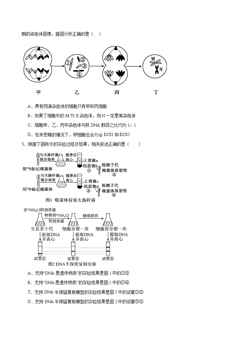 信息必刷卷04（黑吉辽蒙专用）（原卷版）第3页