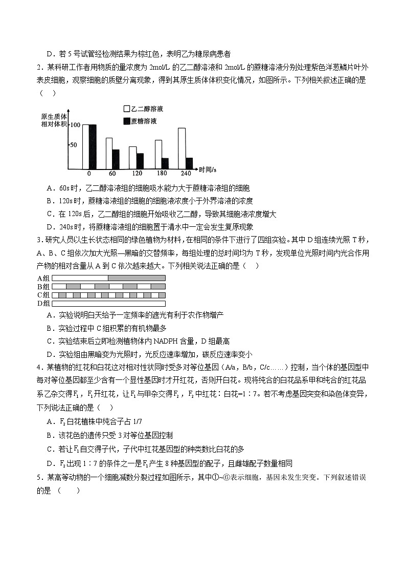 信息必刷卷01（黑吉辽蒙专用）（原卷版）第2页