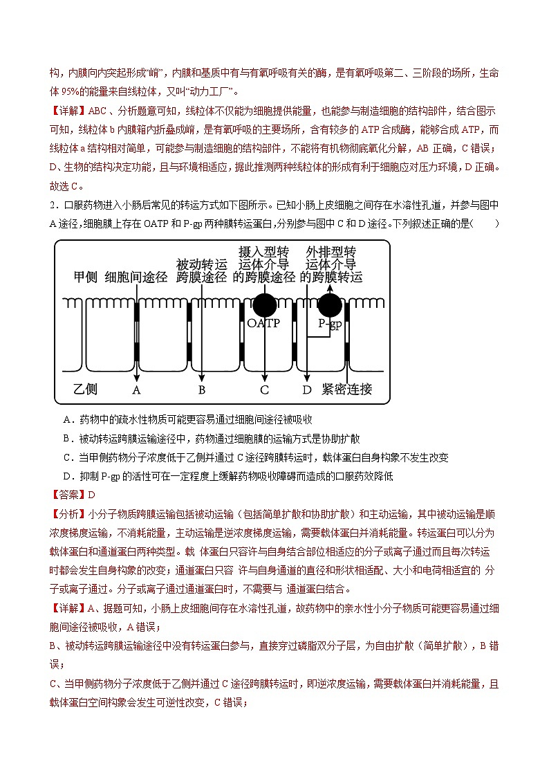 信息必刷卷04（黑吉辽蒙专用）（解析版）第2页