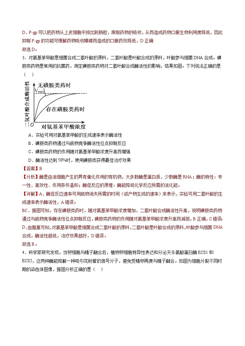 信息必刷卷04（黑吉辽蒙专用）（解析版）第3页