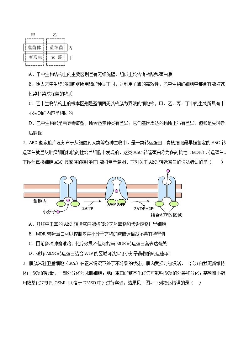 信息必刷卷05（黑吉辽蒙专用）（原卷版）第2页