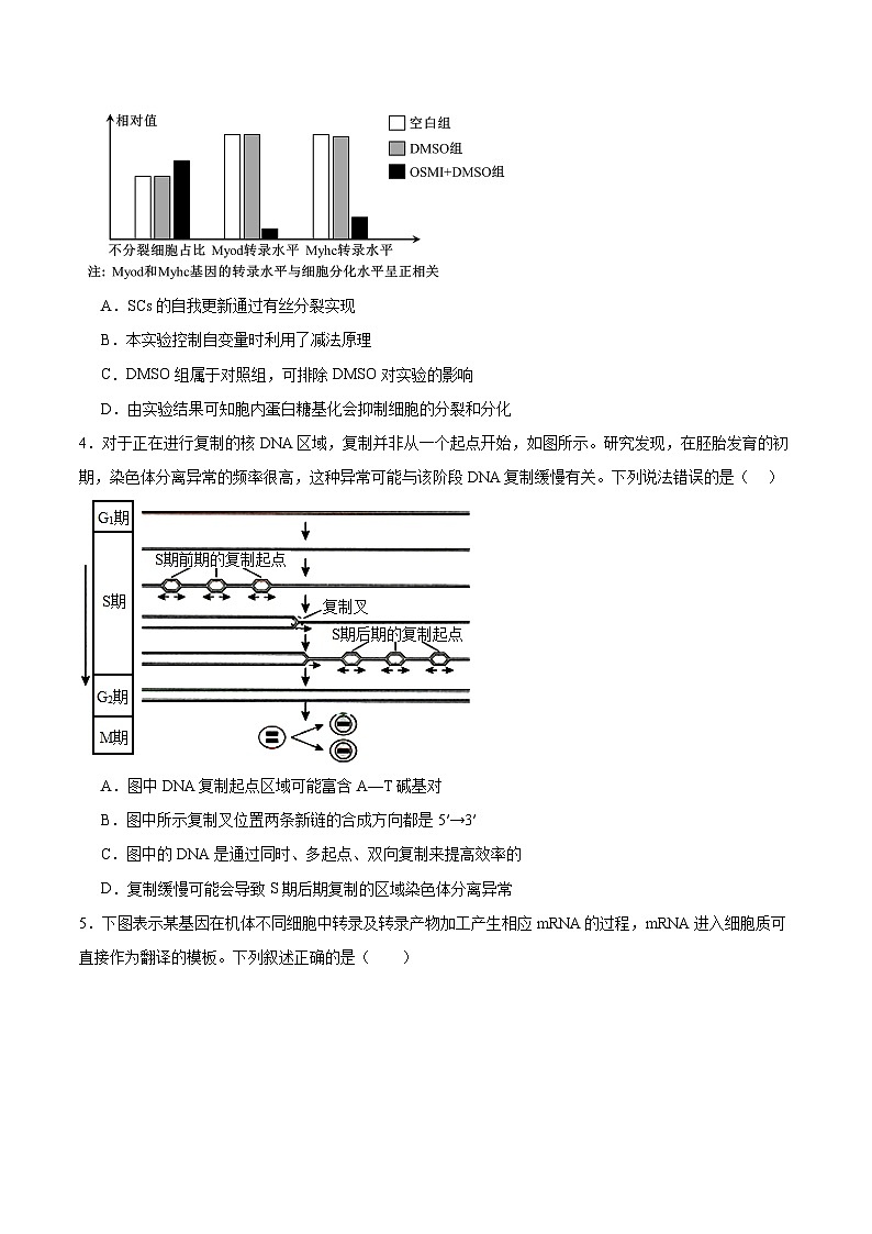 信息必刷卷05（黑吉辽蒙专用）（原卷版）第3页