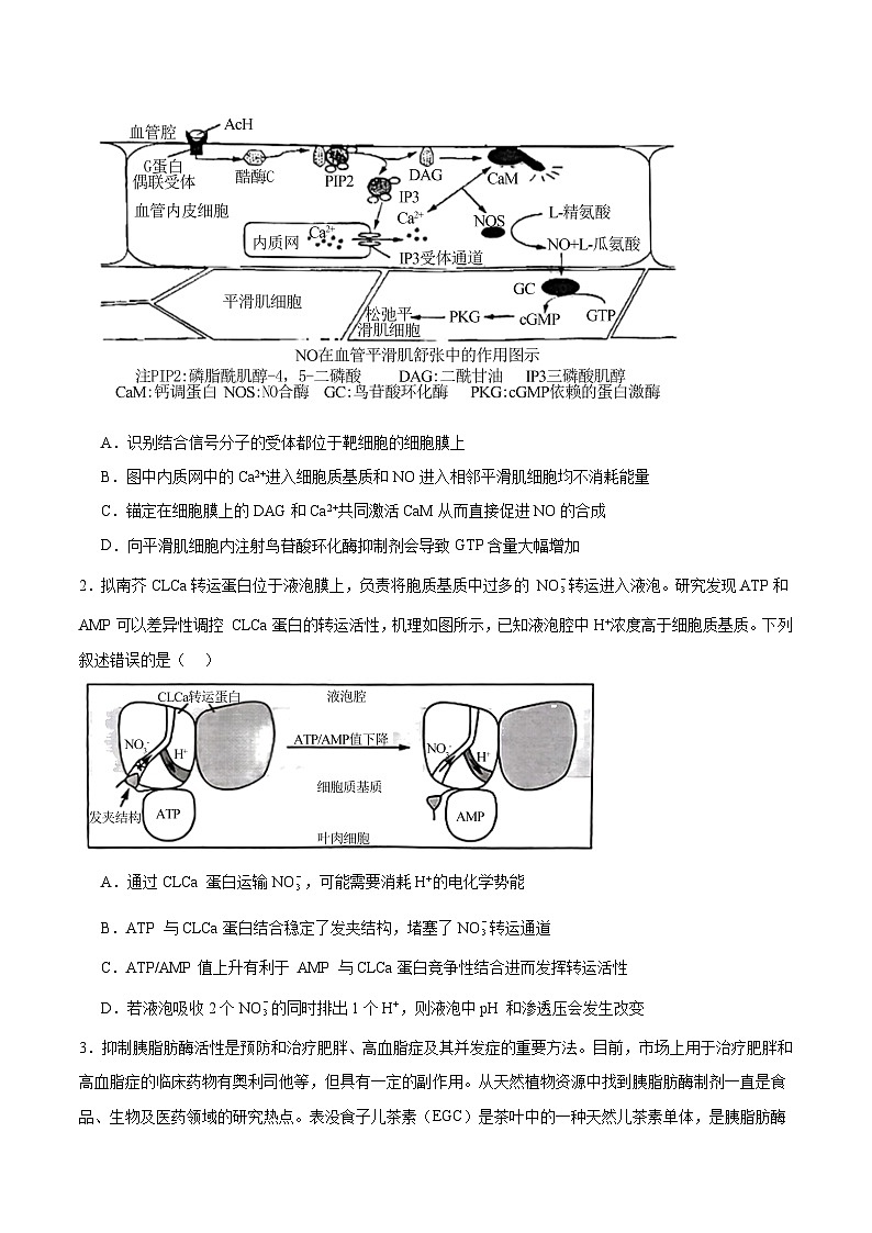 信息必刷卷03（黑吉辽蒙专用）（原卷版）第2页
