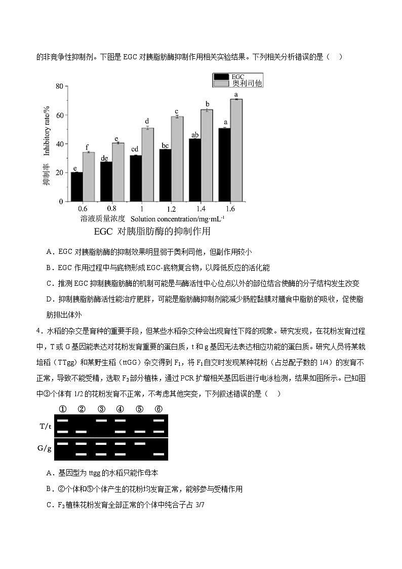 信息必刷卷03（黑吉辽蒙专用）（原卷版）第3页