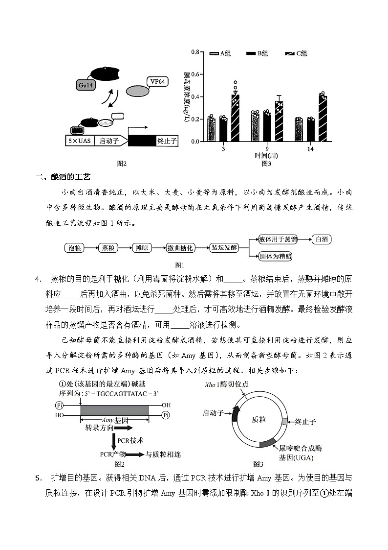 信息必刷卷01（上海专用）原卷版第3页