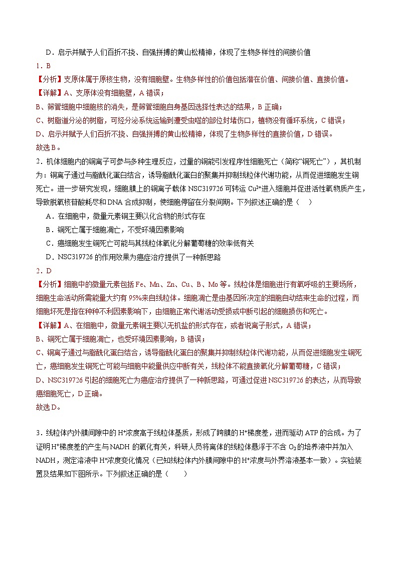 信息必刷卷01（安徽专用）解析版第2页