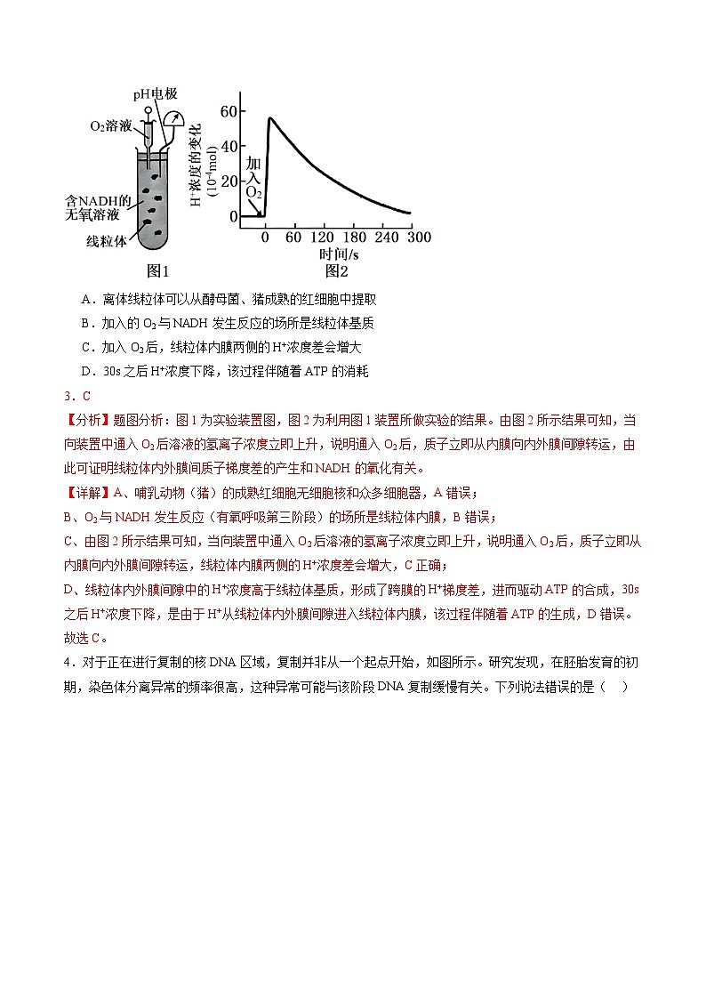 信息必刷卷01（安徽专用）解析版第3页