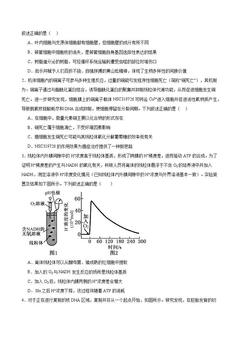 信息必刷卷01（安徽专用）原卷版 第2页