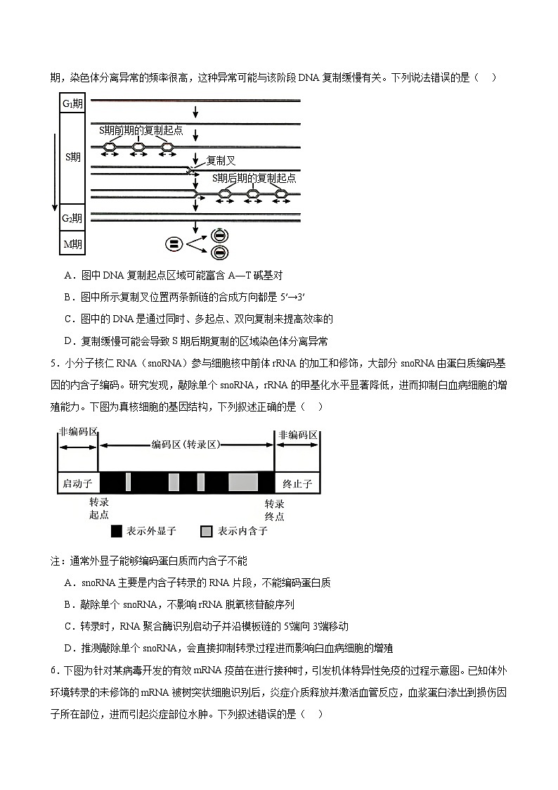 信息必刷卷01（安徽专用）原卷版 第3页