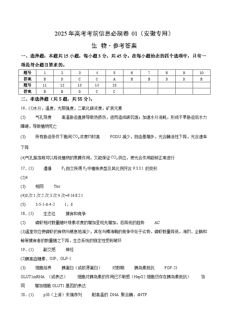 信息必刷卷01（安徽专用）参考答案第1页