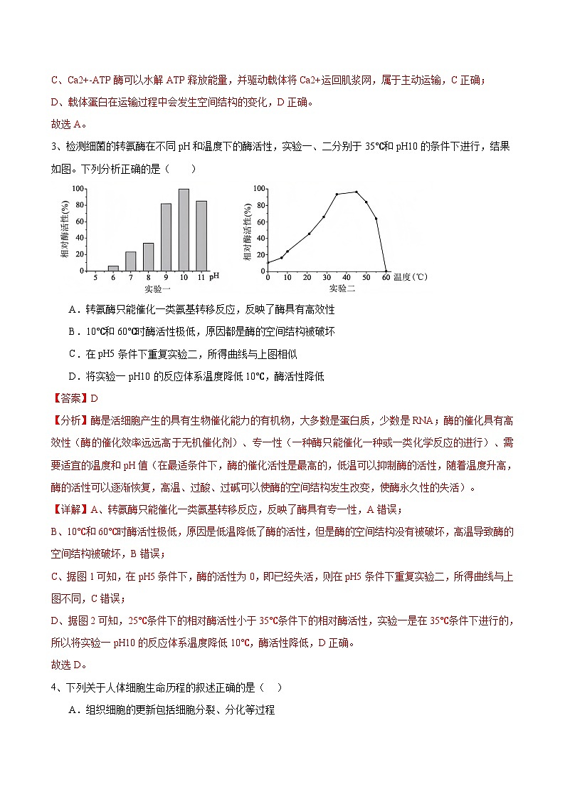信息必刷卷05（北京专用）（解析版）第3页