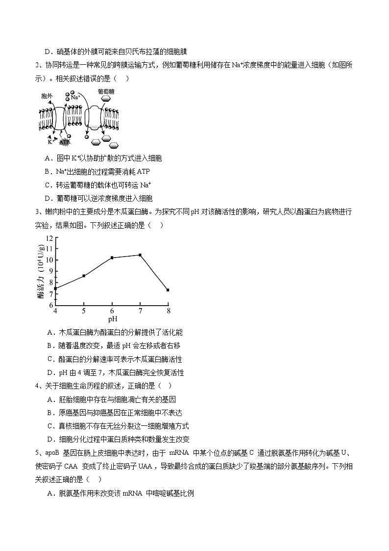 信息必刷卷01（北京专用）（原卷版）第2页