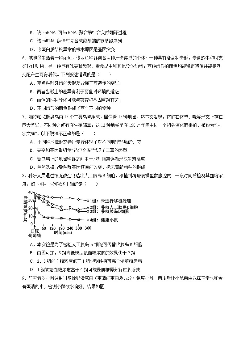 信息必刷卷01（北京专用）（原卷版）第3页